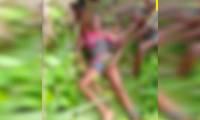  Gita Worker On Palm Tree Has Heart Attack, Gita Worker ,palm Tree ,heart Attack,-TeluguStop.com