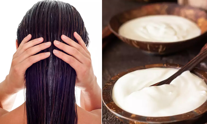  How To Stop Hair Fall With Sour Curd Details! Stop Hair Fall, Hair Fall, Hair Ca-TeluguStop.com