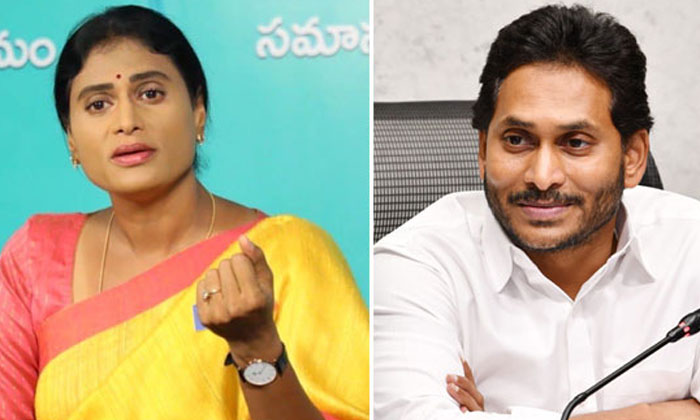 Telugu Aicc, Ap Congress, Ap, Pcc, Telangna, Ys Jagan, Ys Sharmila, Ysrtp-Politi