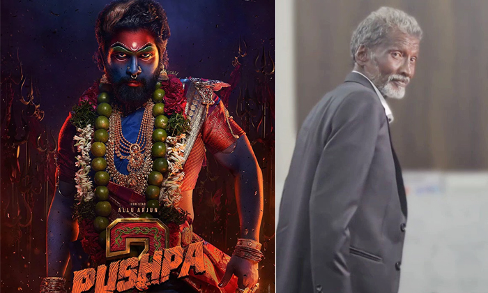  Kurchi Thatha Chance To Act Pushpa 2 Movie Details, Kurchi Thatha, Mahesh Babu,g-TeluguStop.com