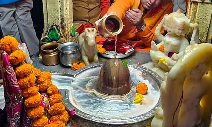  If You Anoint Lord Shiva With Any Of The Ingredients, You Will Get Results , Lor-TeluguStop.com