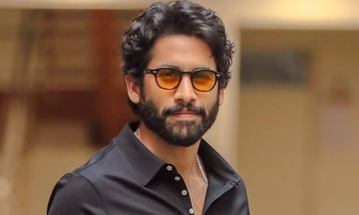  Naga Chaitanya Carrying The Burden Of Akkineni Family, Naga Chaithanya , Akkinen-TeluguStop.com