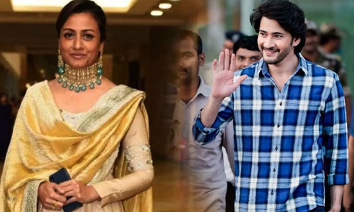  Namrata Share Mahesh And Ys Jagan Mutual Video , Ys Jagan Mohan Reddy, Mahesh Ba-TeluguStop.com