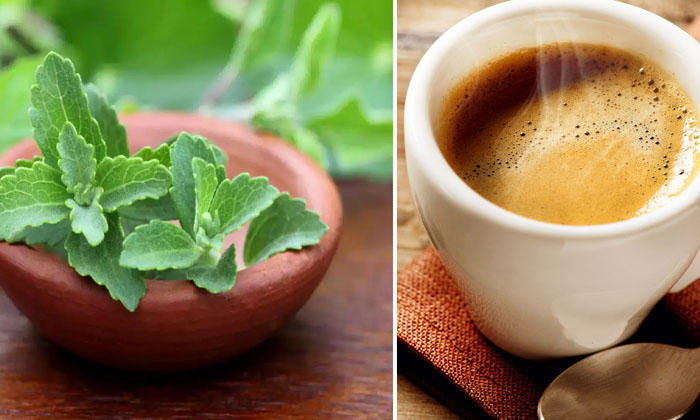 Telugu Coffee, Diabetes, Tips, Stevia, Sugar Levels-Telugu Health