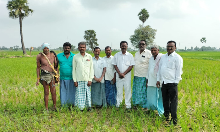  Protect Drying Crop Fields Cpm, Drying Crop Fields, Cpm, Nagarjuna Sagar, Crops-TeluguStop.com