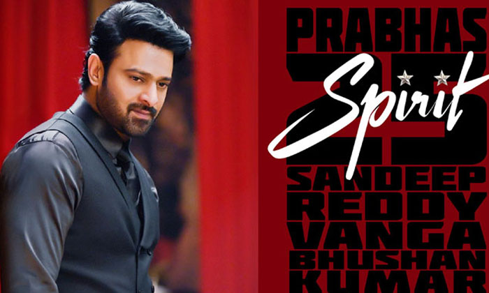  Another Bollywood Hero Sandeep Vanga Gave Clarity In Spirit Movie, Sandeep Vanga-TeluguStop.com