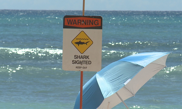 Telugu Beach Closure, Hawaii, Honolua Bay, Jason Carter, Jasoncarter, Maui, Maui