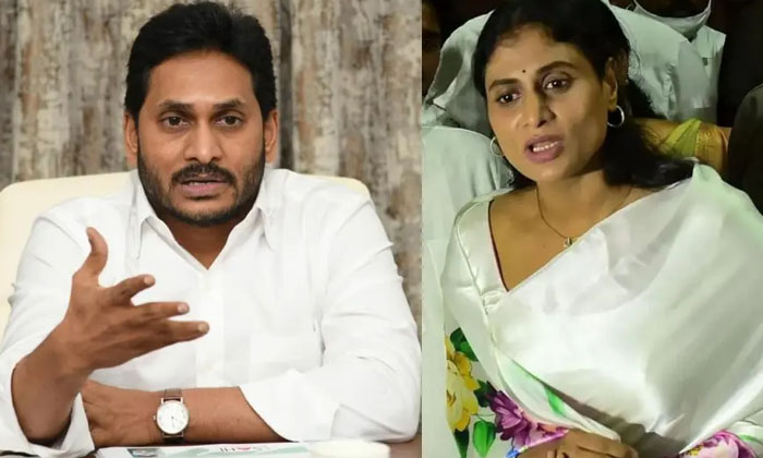  Sharmila's Sensational Comments On Jagan's 'split In The Family', Jagan, Ysrcp,-TeluguStop.com