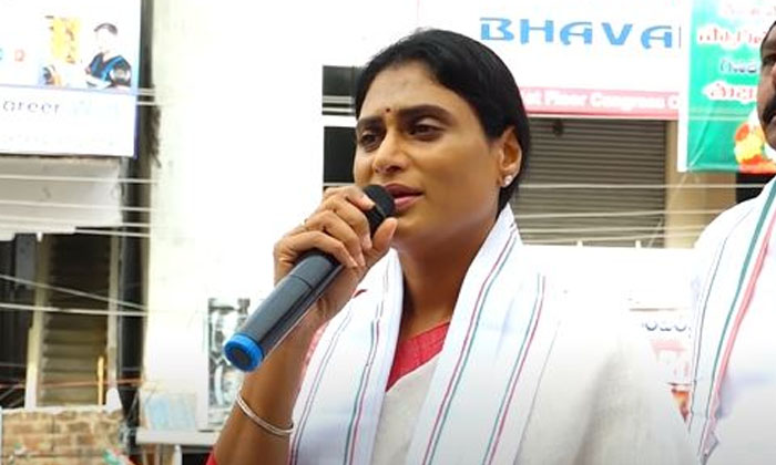  Anyone Who Questions Is Insulted..: Ys Sharmila , Vijayawada, Republic Day Cele-TeluguStop.com