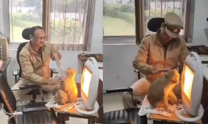  Viral Video Monkey Enters Police Camp And Sits In Front Of Heater To Keep Warm I-TeluguStop.com