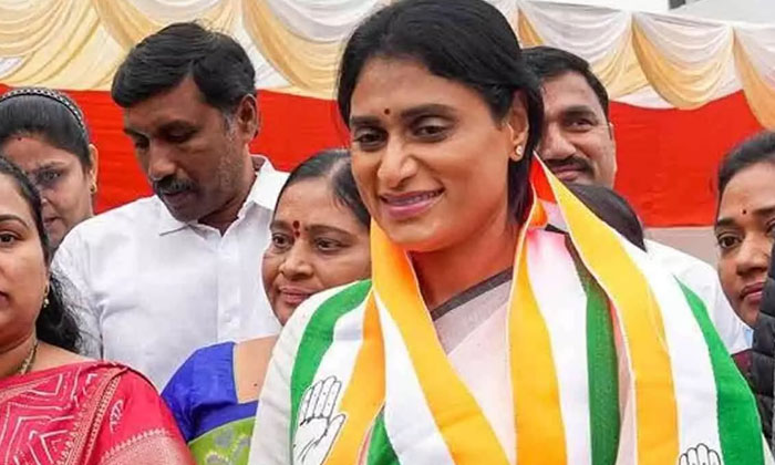  What Is The Decision Of Sharmila's Focus On Former Ycp Konathas , Konathala Rama-TeluguStop.com