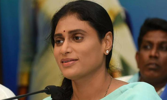  Ys Sharmila Serious Comments On Cm Jagan In Congress First Election Campaign Me-TeluguStop.com