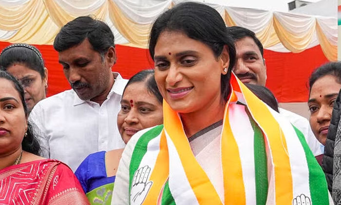  Ys Sharmila Key Comments Saying This Is Ysr Mark Politics Congress, Ys Sharmila,-TeluguStop.com