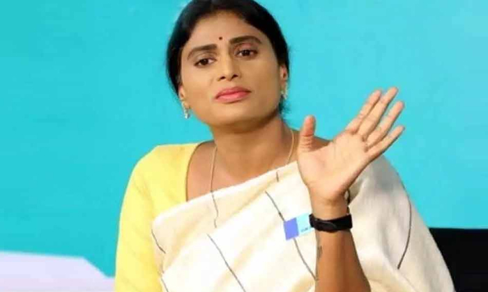 Ys Sharmila Reached Hyderabad From Delhi , Congress, Ys Sharmila, Congress Party Ys Sharmila Reached Hyderabad From Delhi , Congress, Ys Sharmila, Congress Party-TeluguStop.com