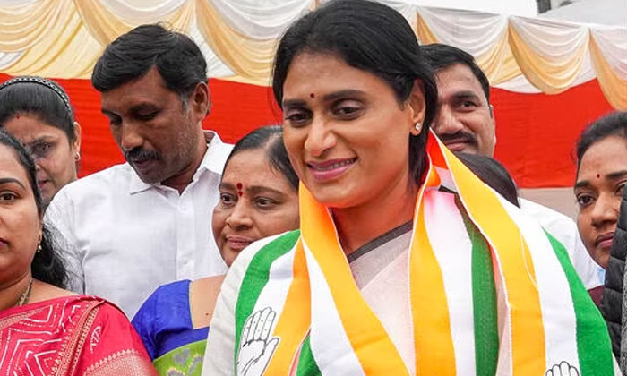  Ys Sharmila In New Responsibilities! Ap Tour Fix , Ap Congress, Bjp, Ys Sharmil-TeluguStop.com