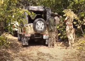 ఆసిఫాబాద్ పులుల మృతి కేసులో అధికారులపై వేటు - Asifabad Tiger Death Case