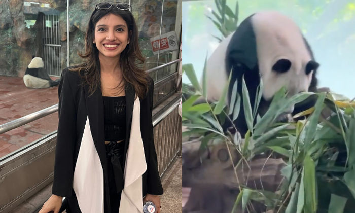  Daggubati Rana Wife Miheeka Bajaj Shares Panda Post Real Life-TeluguStop.com