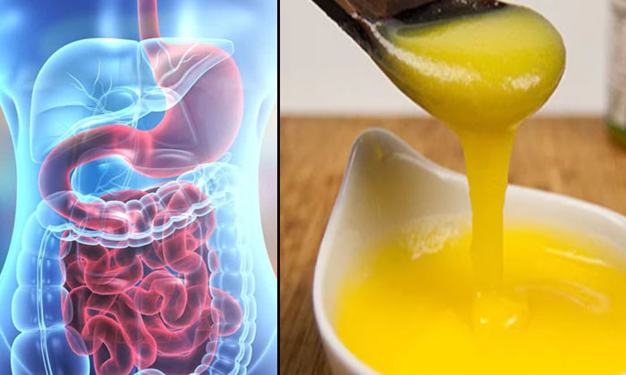  Taking Ghee Daily In Winter...these Amazing Benefits. , Ghee, Winter, Health , H-TeluguStop.com