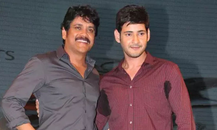 Telugu Mahesh Babu, Naa Saami Ranga, Nagarjuna, Tollywood-Movie