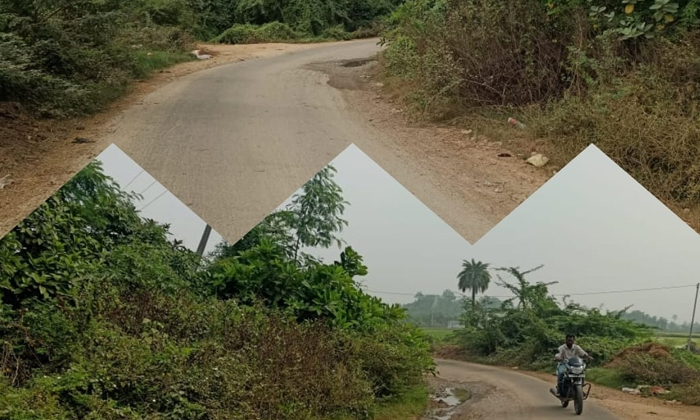  Quaking Trees Surrounds Kalmalacheruvu Road,quaking Trees ,kalmalacheruvu Road,-TeluguStop.com