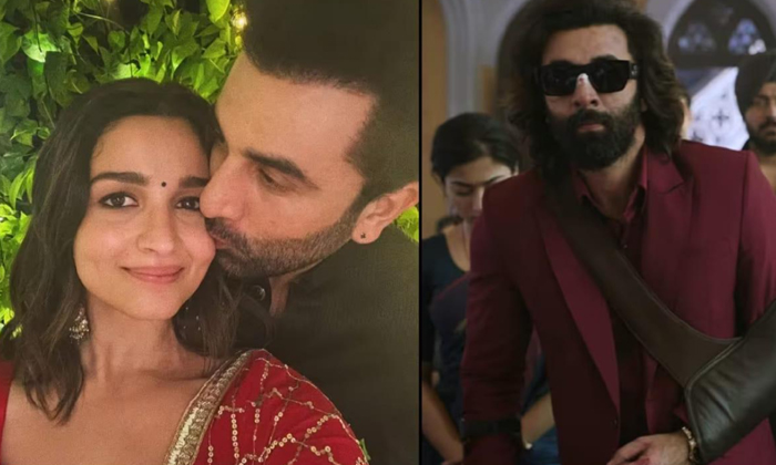  Ranbir Kapoor Comments About Alia Bhatt Support Details Here Goes Viral In Soci-TeluguStop.com