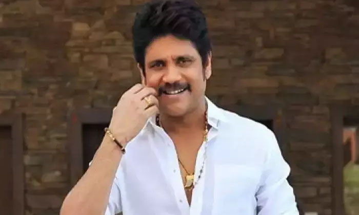  Nagarjuna Naa Saamiranga Sentiment Details Here Goes Viral In Social Media ,na-TeluguStop.com