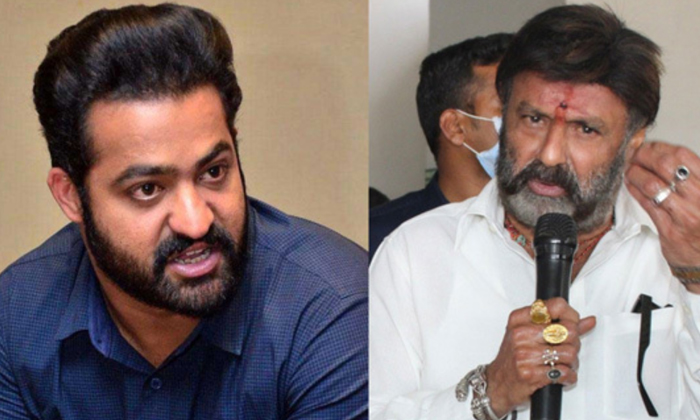  Will Balakrishna Ok For Competetion With Junior Ntr Details Here Goes Viral-TeluguStop.com