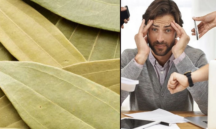  Amazing Benefits Of Burning Bay Leaves At Home-TeluguStop.com