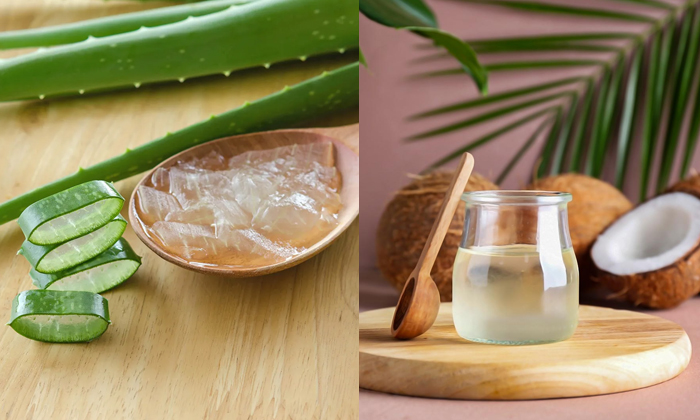 Telugu Aloevera Gel, Tips, Coconut Oil, Coconutoil, Coffee Powder, Latest, Manic Telugu Aloevera Gel, Tips, Coconut Oil, Coconutoil, Coffee Powder, Latest, Manic