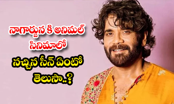  Nagarjuna : నాగార్జున కి అనిమల్ సిని-TeluguStop.com