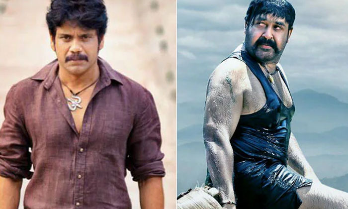 Telugu Favorite Heroes, Nagarjuna, Mohan Lal, Tollywood-Movie