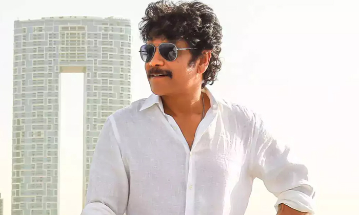  Do You Know Who Is That Tamil Actor Who Cheated Nagarjuna-Nagarjuna : నాగ-TeluguStop.com