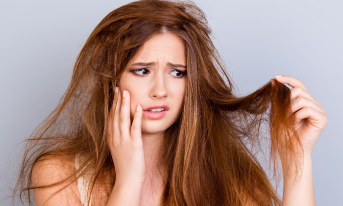  Top And Best Remedy For Repairing Dry Hair!, Dry Hair, Home Remedy, Latest News,-TeluguStop.com