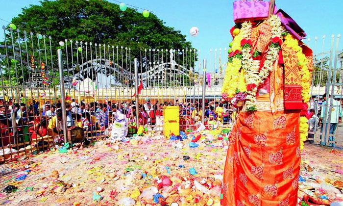  Medaram Maha Jathara : మేడారం మహాజాతరలో నేడ-TeluguStop.com