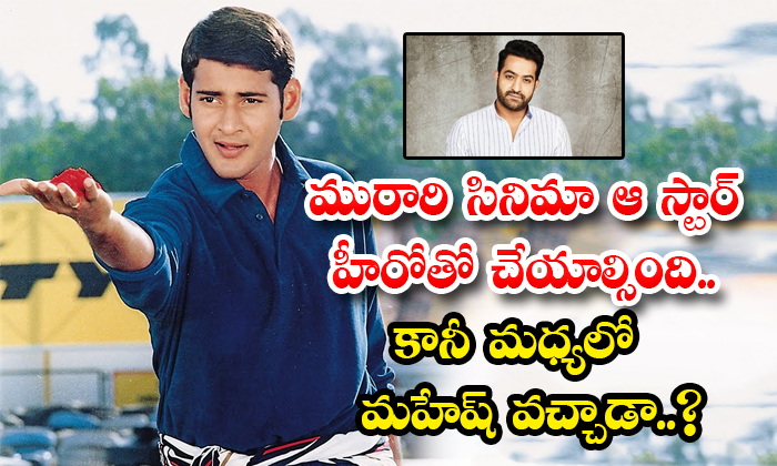  Murari Film Was To Be Made With That Star Hero But Mahesh Came In The Middle-TeluguStop.com
