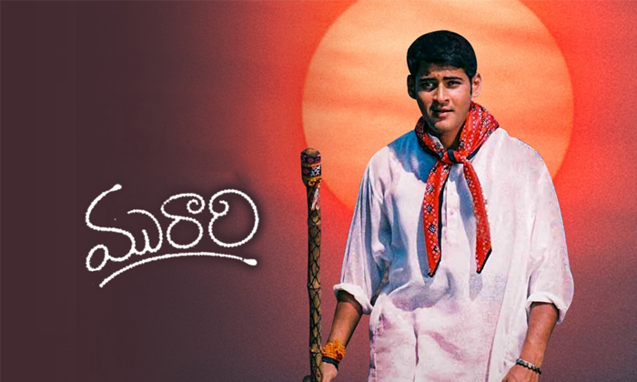  Murari Film Was To Be Made With That Star Hero But Mahesh Came In The Middle-Ma-TeluguStop.com