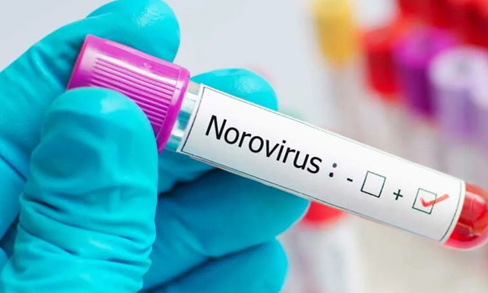  Norovirus Cases Are Increasing In Different Parts Of America Especially In That-TeluguStop.com