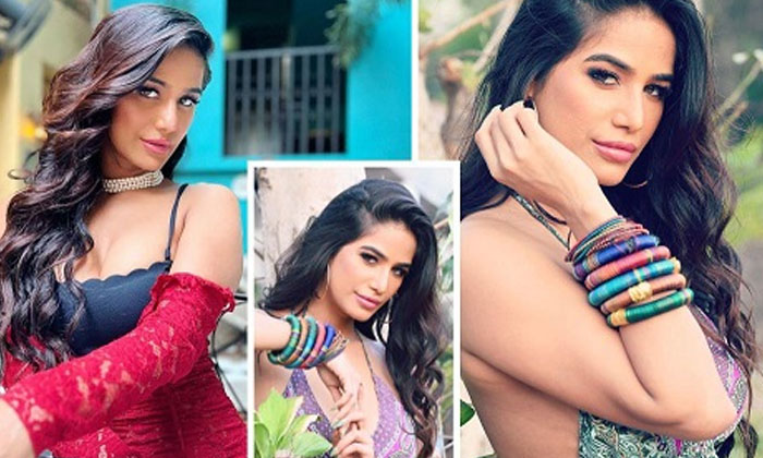 Telugu Biggboss, Poonam Pandey, Rs, Journey Karma-Telugu Top Posts