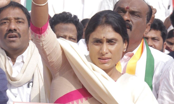  Special Status For Ap Only If Congress Is Blessed Sharmila-TeluguStop.com