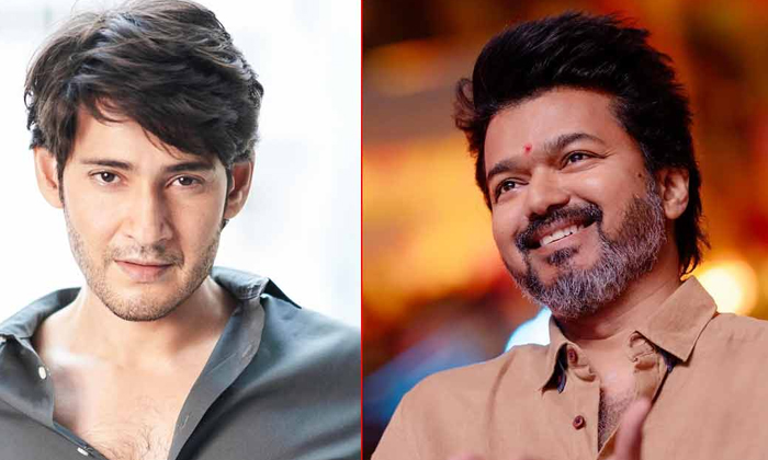  Tamil Actor Who Became A Star Hero By Imitating Mahesh Babu-Mahesh Babu : మ�-TeluguStop.com