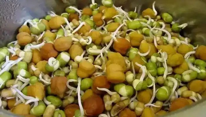 Telugu Empty Stomach, Fiber, Sugar Levels, Protein, Sprouts-Telugu Health