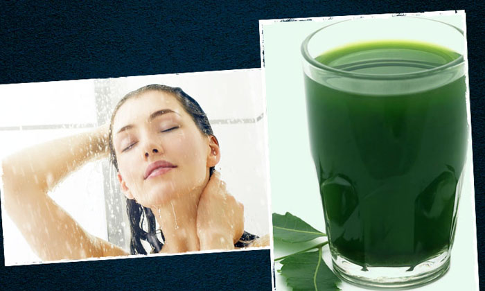  Try This Hair Toner To Get Rid Of Dandruff Quickly-TeluguStop.com