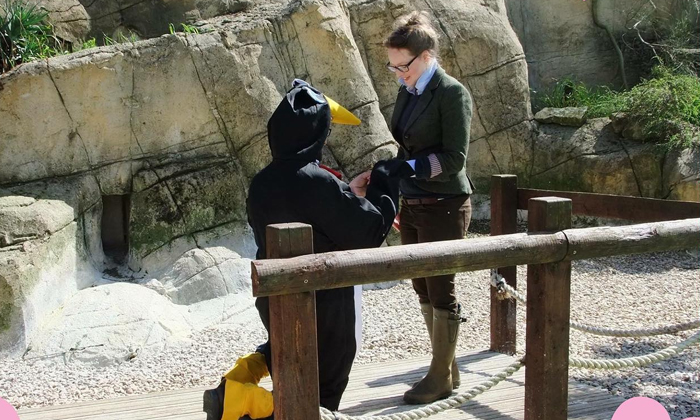  Uk Man Dresses Up As Penguin To Propose To His Girlfriend-TeluguStop.com