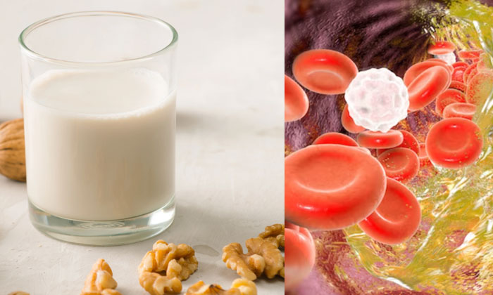 Telugu Dairy Milk, Tips, Latest, Milk, Walnut Milk, Walnutmilk, Walnuts-Telugu H