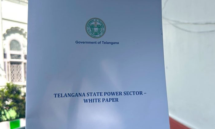  Telangana Assembly : తెలంగాణ అసెంబ్లీలో నీ-TeluguStop.com