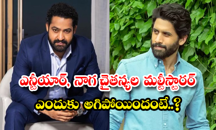  Why Is Ntr And Naga Chaitanya Multi Starrer Movie Stopped-TeluguStop.com