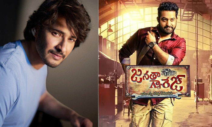  Will Mahesh Babu Sing A Song In Ntr Janatha Garage Movie-Mahesh Babu Janatha Ga-TeluguStop.com