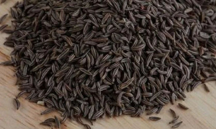 Telugu Black Cumin, Caraway Seeds, Tips, Latest, Nature Herbs, Shahijeera-Telugu