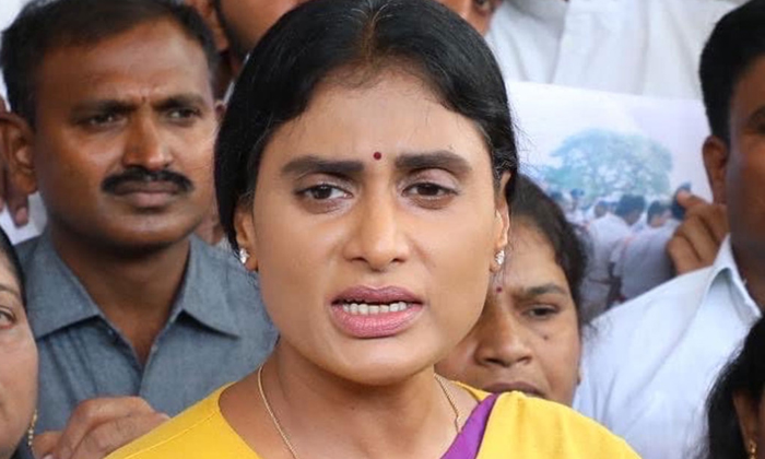  Ys Sharmila Condemns Attack On Journalist In Rayalaseema Siddham Meeting-TeluguStop.com