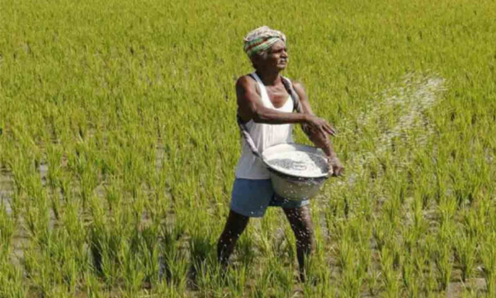  Yasangi Season Is Troubling The Farmers, Yasangi Season , Farmers, Suryapet Dist-TeluguStop.com